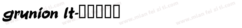 grunion lt字体转换